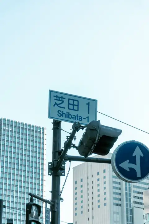 Street signs and traffic lights rising against a pale city sky