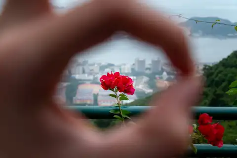 A red bougainvillea framed through two out-of-focus hands